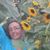 Debora Beck's profile image
