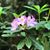 Betty Varnado Zeugin's profile image