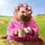 Susan Pokrak Chan's profile image