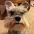 Christie Camillo Linkes's profile image