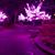 Mary Beth Opiel Gill's profile image