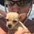 Aron Kulle's profile image