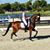 Krystal Shingler's profile image
