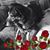Kathy Myers's profile image