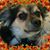 Kelly Elliott's profile image
