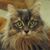 Cathy Gray's profile image