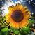 Karen Olson's profile image