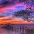 Eva Anna Cooper's profile image