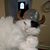 Annie Ernest's profile image