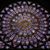 Wendy Scherwat Ducourneau's profile image