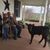 Joan Comerford's profile image