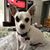 Annie Edmonds Skerchek's profile image