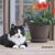 Tatie Freen's profile image