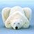 Jeff Sikorovsky's profile image