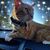 Jacquelynn Smith's profile image