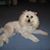 Cathey Sholar's profile image