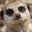 Dawn Wirth's profile image