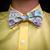 Gypsy Schindler's profile image