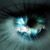 Mari Anee's profile image