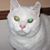 Anne Mae Sylvia's profile image