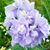 Kristi L. Link's profile image