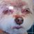 JD Mc's profile image