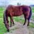 Cynthia Terrell's profile image