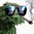 Mike Lortie's profile image