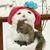 Debbie Bradberry's profile image