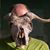 Joel Greenblatt's profile image