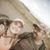 Caitie Marie Sunshine's profile image