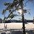 Karen Reeves's profile image