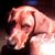 Geoffrey Comstock's profile image