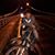 Adrian Chuqui's profile image