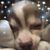 Wendy Mendyka Parsons's profile image