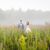 Anna Catania's profile image