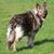 Fiona Gierus's profile image