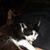 Meredythe Doering's profile image