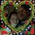 John Dannelly's profile image