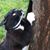 Robyn Sanders's profile image