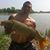 Cristi Bota's profile image