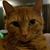 Betsy Norton Sharp's profile image