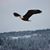 Susan Strader's profile image