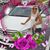 Lisa Denardo's profile image