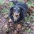Kathy Geraghty Minckler's profile image