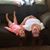 Rebecca Sherley's profile image