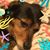 Karen Fairhurst's profile image