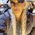 Krista Maki-Zurn's profile image