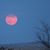 Cindi Stinson Sullivan's profile image