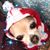 Sandra Westberg's profile image